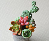 Mini Succulent Planter Polymer Clay Magnet, MERCY
