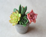 Mini Succulent Arrangement Potted Plant Magnet, Polymer Clay Miniature