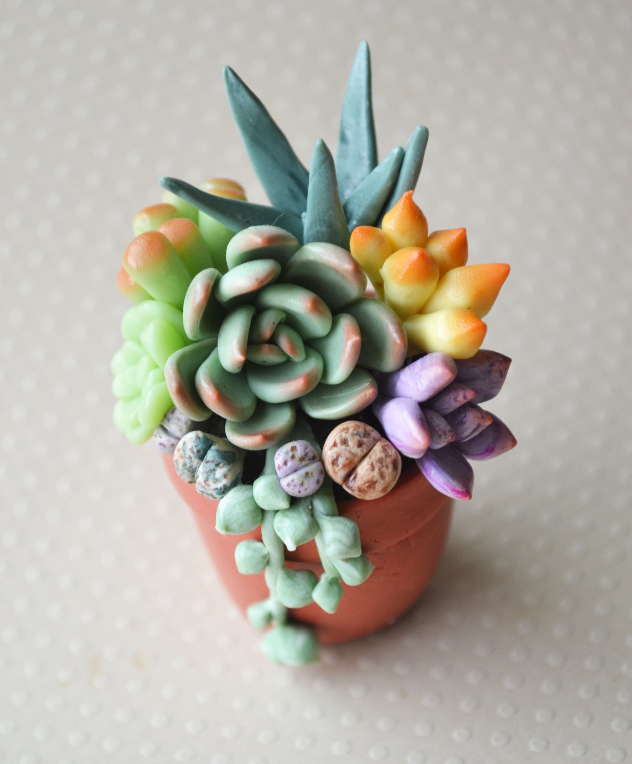 Polymer Clay miniature Succulent Granite Pot House Plant Magnet –  ScrumptiousDoodle