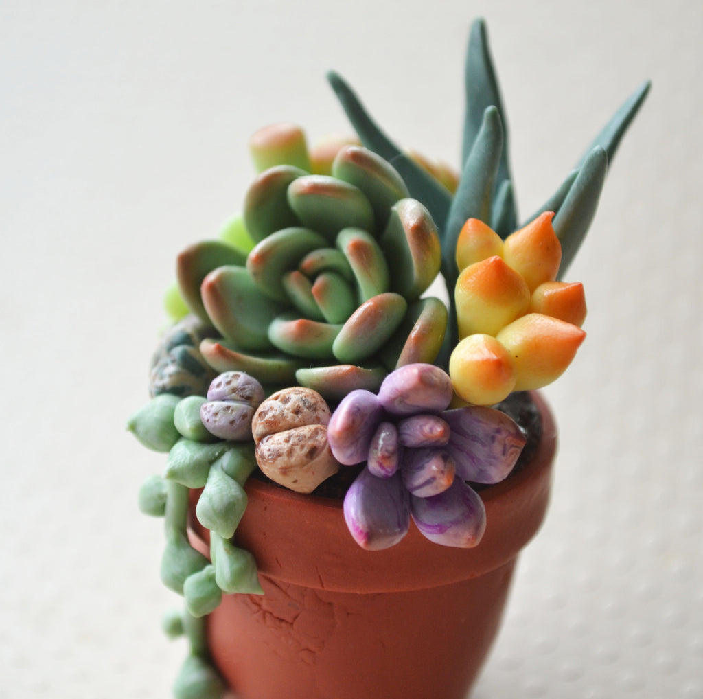cute potted succulents Mini Potted Succulent Arrangement Magnet , CLARITY – ScrumptiousDoodle