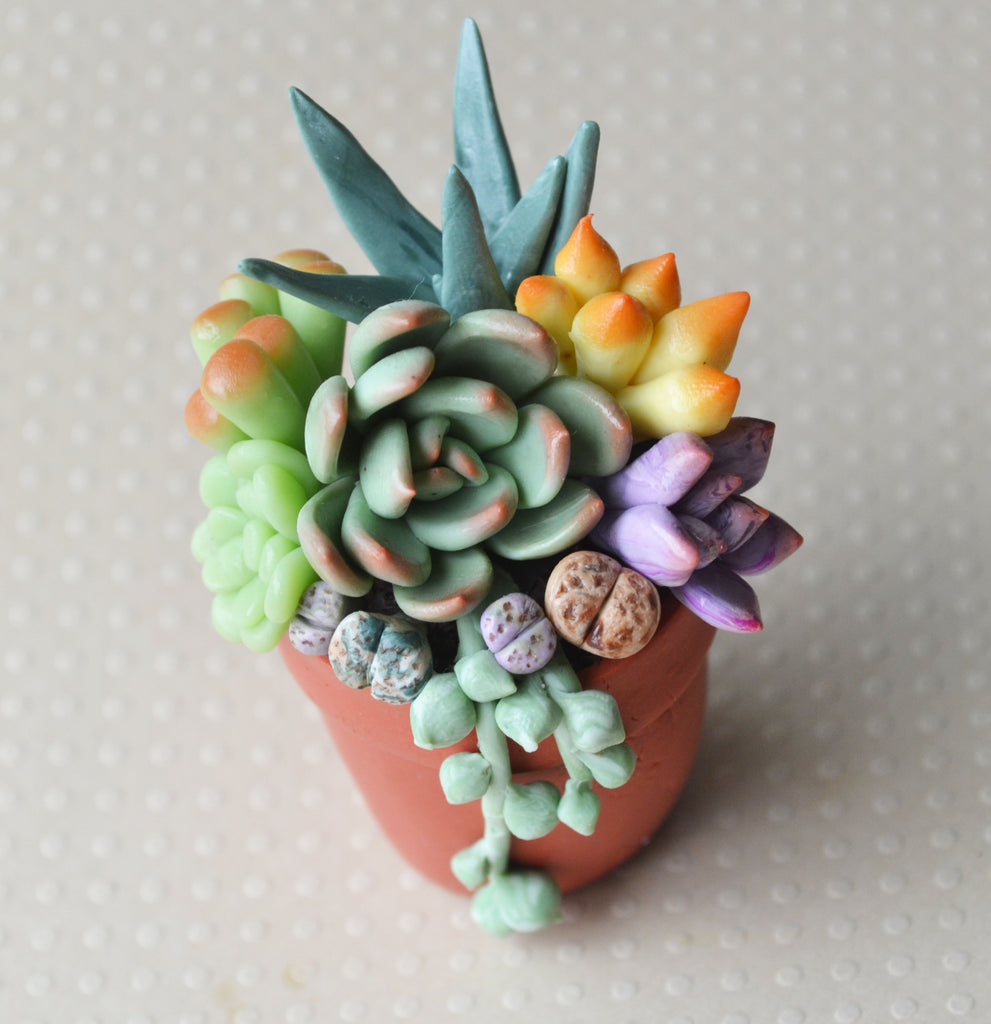 mini succulent magnets Mini Potted Succulent Arrangement Magnet , CLARITY