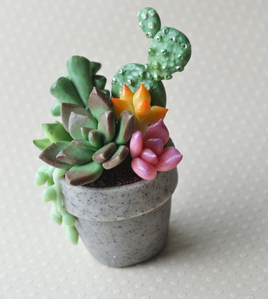 succulent plant polymer clay Mini Plant Polymer Clay Succulent Pot Magnet, JOY – ScrumptiousDoodle