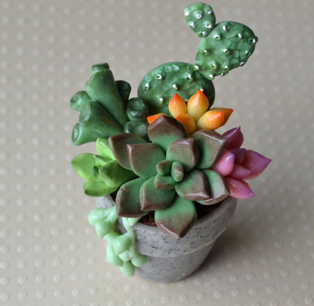 kiwico mini clay succulents Mini Plant Polymer Clay Succulent Pot Magnet, JOY – ScrumptiousDoodle