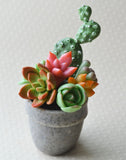Mini Succulent Planter Polymer Clay Magnet, MERCY