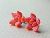 Pink Succulent Stud Earrings, Polymer Clay Mini succulent