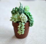 Succulent Arrangement Pot Miniature Magnet, Polymer Clay