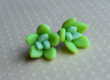 Mini Ombre Succulent Post Earrings