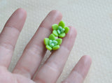Mini Ombre Succulent Post Earrings