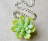 Green Miniature Succulent Necklace, Polymer Clay Miniature