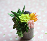Miniature Polymer Clay Succulent Potted Plant Arrangement Magnet
