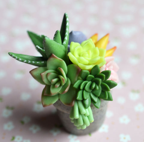 Miniature Polymer Clay Succulent Potted Plant Arrangement Magnet