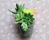 Miniature Polymer Clay Succulent Potted Plant Arrangement Magnet