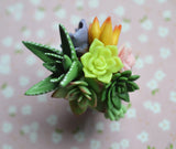 Miniature Polymer Clay Succulent Potted Plant Arrangement Magnet