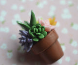 Polymer Clay Cactus Succulent Plat Arrangement in Mini Terracotta Pot Magnet