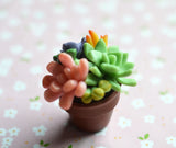 Mini Potted Succulent Arrangement Polymer Clay Plant Magnet