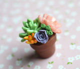 Mini Potted Succulent Arrangement Polymer Clay Plant Magnet