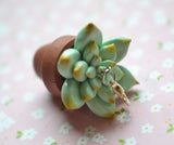 Miniature Succulent Charm, Pendant, Key Chain, Polymer Clay Succulent