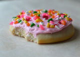 Soft Frosted Sugar Cookie Polymer Clay Miniature Food Magnet