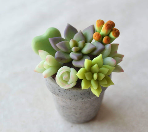 Polymer Clay miniature Succulent Granite Pot House Plant Magnet